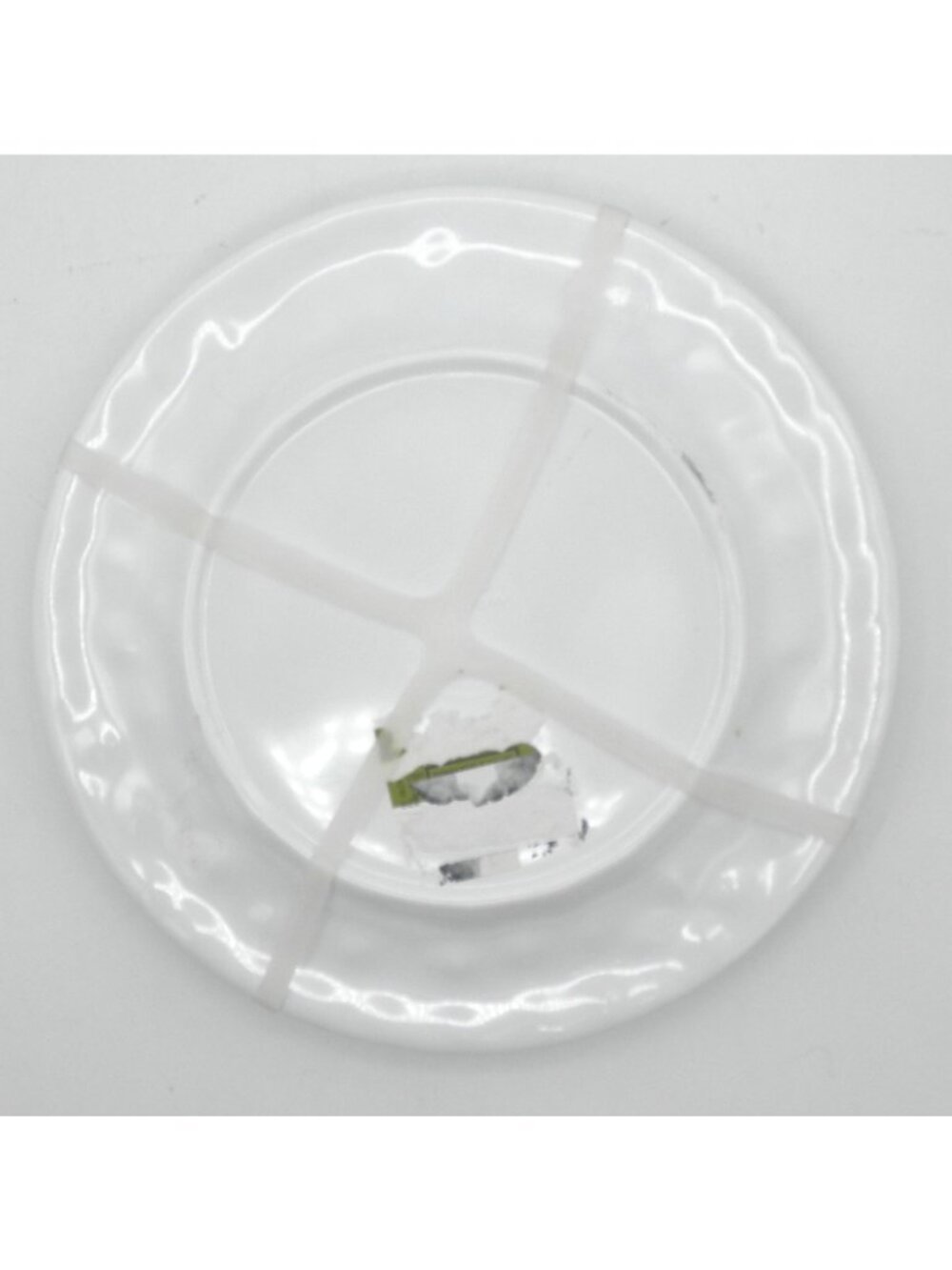 Fig & Fern 8.25 In. Salad Plates Safari Water Color Patricia Pinto NEW 4 Designs - Picture 5 of 5